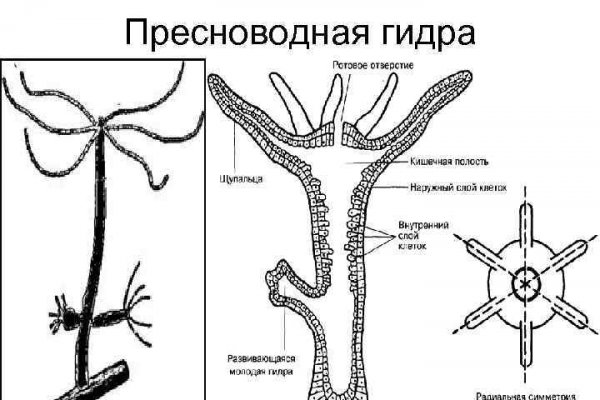 Как зайти в кракен с айфона