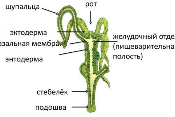 Кракен это что за сайт